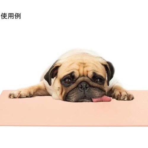 キッチンフロアマット プロ ベージュ M