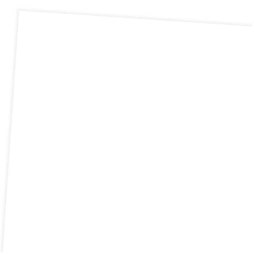 模造紙 白 5枚巻×10