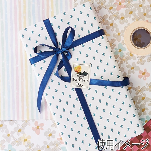 包装紙 半才 アミーゴ×10