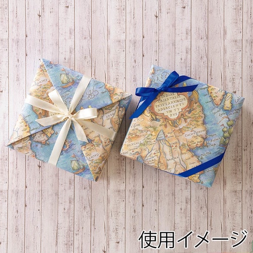 包装紙 半才 エデン×10