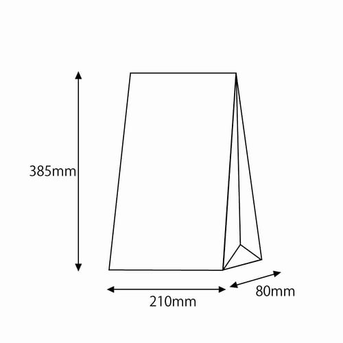 ファンシーバッグ 4才 ワイルドダック 10セット