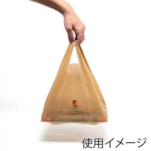 oCInhnCp[@W܁@oCI}X@ٓp