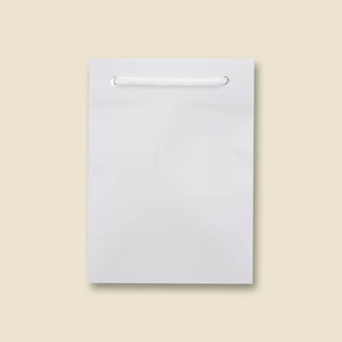 ブライトバッグ T−4 白 5セット