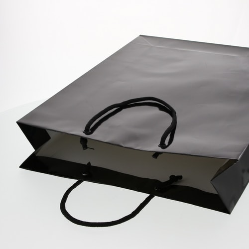 ブライトバッグ G2 黒 5セット