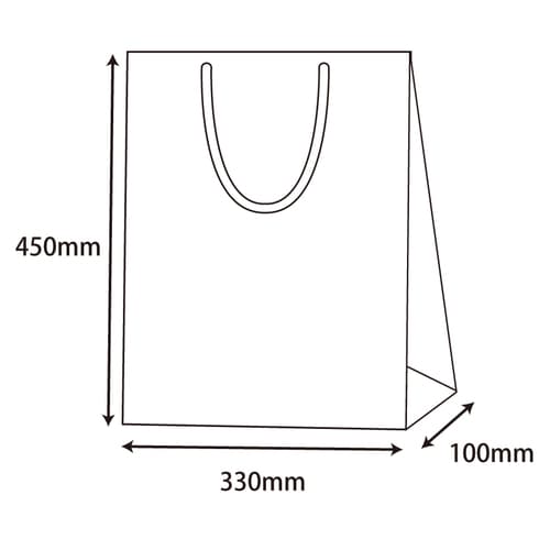 ブライトバッグ G2 黒 5セット
