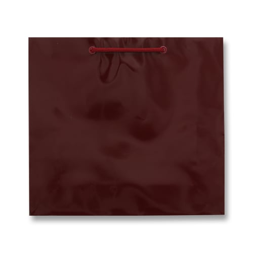 ブライトバッグ GM エンジ 5セット