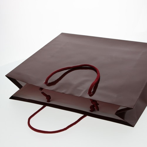 ブライトバッグ GM エンジ 5セット