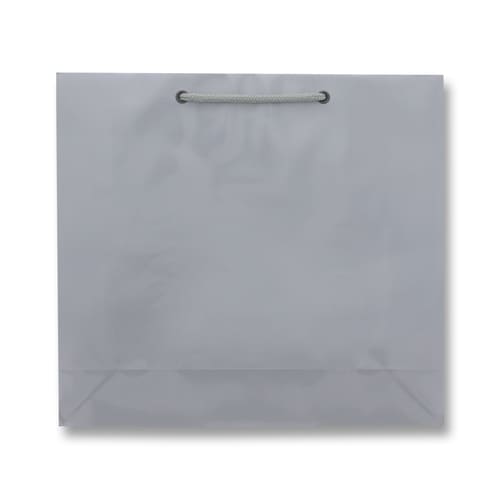 ブライトバッグ GM 銀 5セット