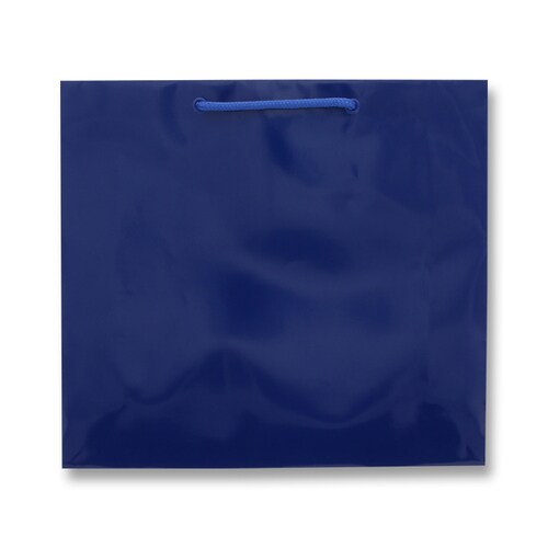 ブライトバッグ GM 紺 5セット