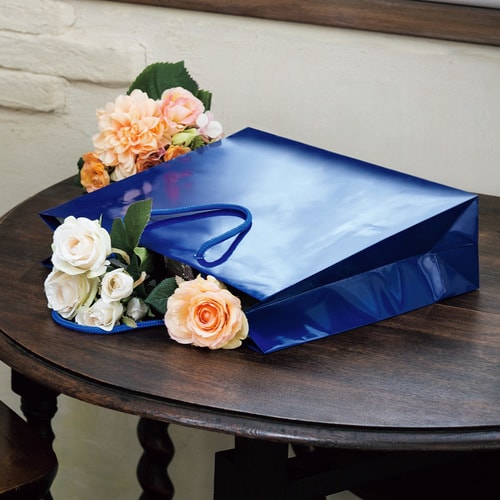 ブライトバッグ GM 紺 5セット