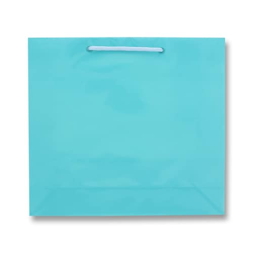 ブライトバッグ GM アサギ 5セット