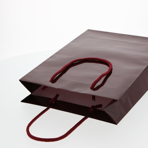 ブライトバッグ SWT エンジ 5セット