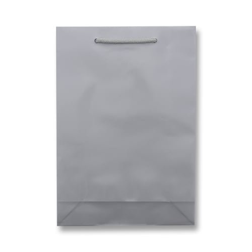 ブライトバッグ SWT 銀 5セット