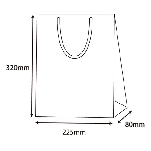 ブライトバッグ SWT 銀 5セット
