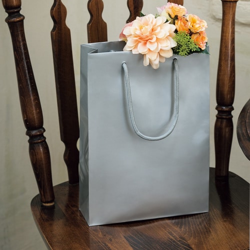 ブライトバッグ SWT 銀 5セット