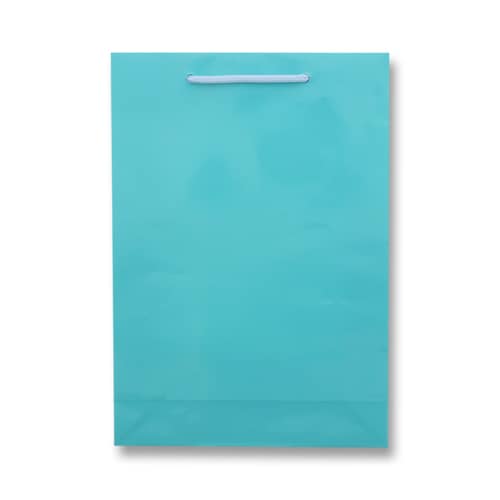 ブライトバッグ SWT アサギ 5セット