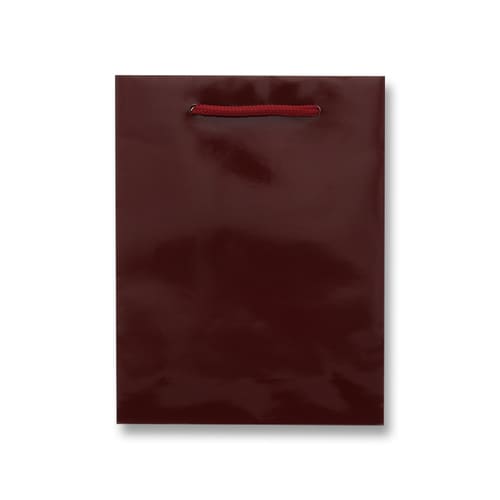 ブライトバッグ MM エンジ 5セット