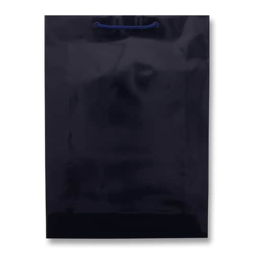 ブライトバッグ G2 紫紺 5セット