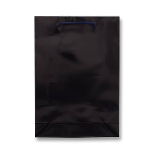 ブライトバッグ SWT 紫紺 5セット