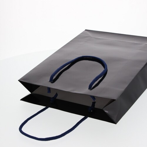 ブライトバッグ SWT 紫紺 5セット