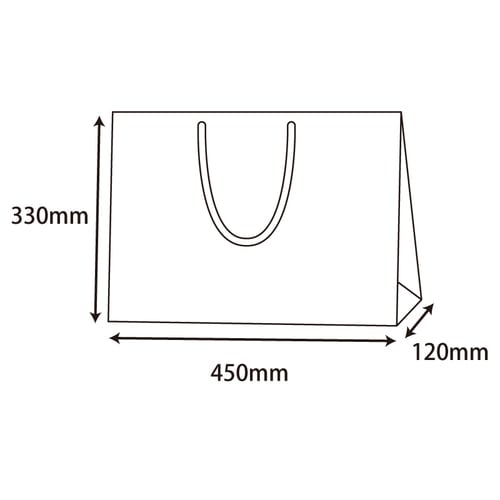 ブライトバッグ Y2 黒 5セット