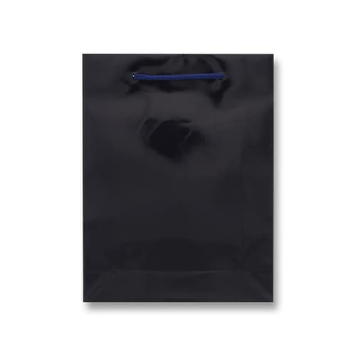 ブライトバッグ MM 紫紺 5セット