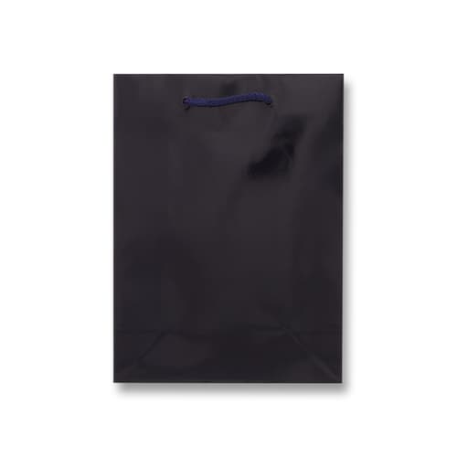 ブライトバッグ T−3 紫紺 5セット