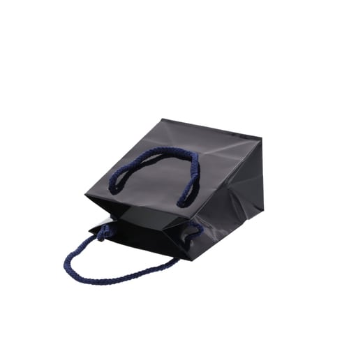 ブライトバッグ T−5 紫紺 5セット