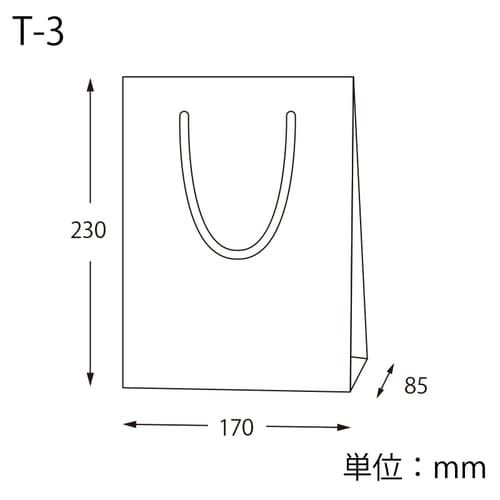 ブライトバッグT−3ピスタチオ(MT)5セット