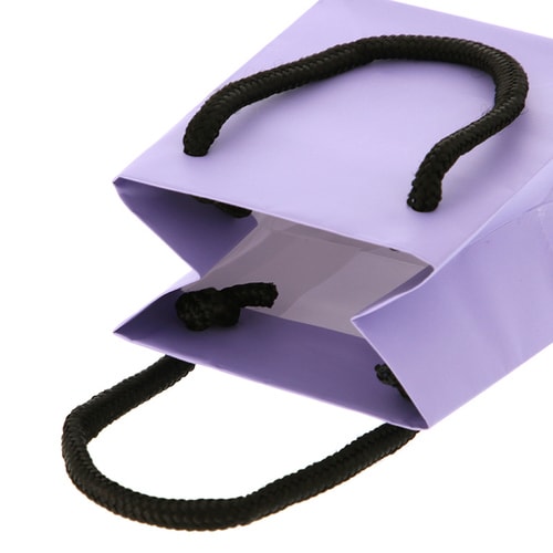 ブライトバッグT−5パステルパープル(MT)5