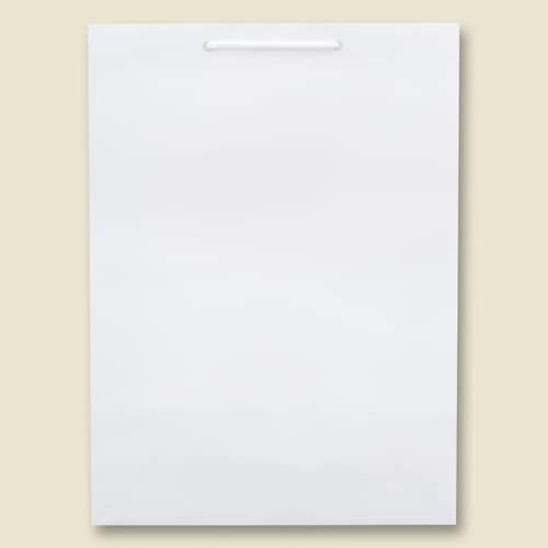 ブライトバッグ KA 白 5セット