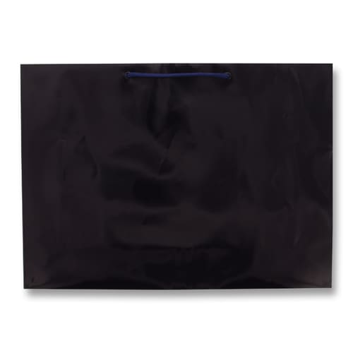 ブライトバッグ Y2 紫紺 5セット