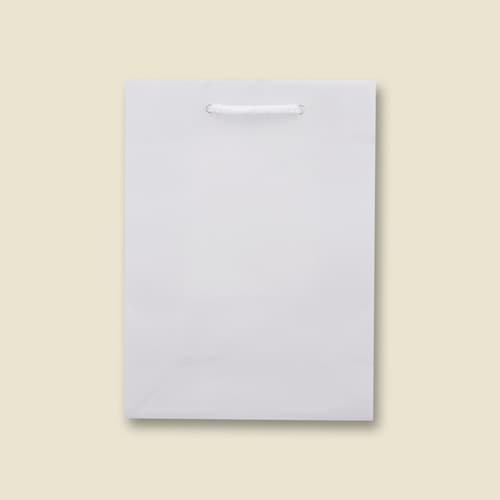 ブライトバッグ T−3 白 5セット