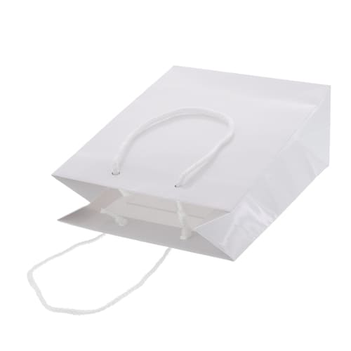 ブライトバッグ T−3 白 5セット