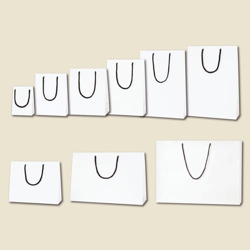 ブライトバッグ 32−11 白(MT) 5セット