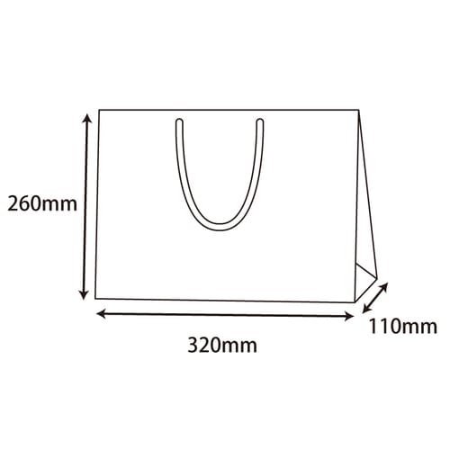 ブライトバッグ 32−11 白(MT) 5セット