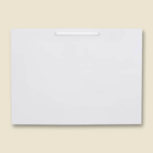 ブライトバッグ Y2 白 5セット