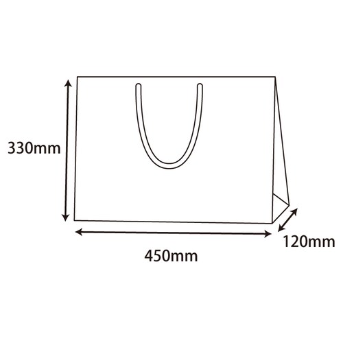 ブライトバッグ Y2 白 5セット
