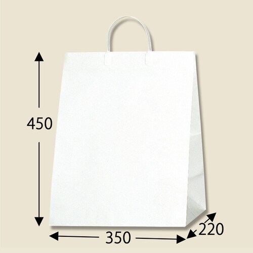 ワイドバッグ M ホワイト 5セット