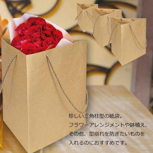 トライバッグ No.2 未晒無地 5セット