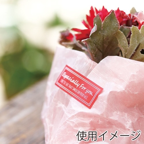 特殊強粘ギフトシールユニバーサルチェリー10セット