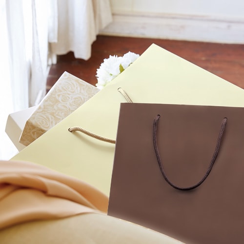 ブライトバッグC2チョコブラウン(MT)5セット