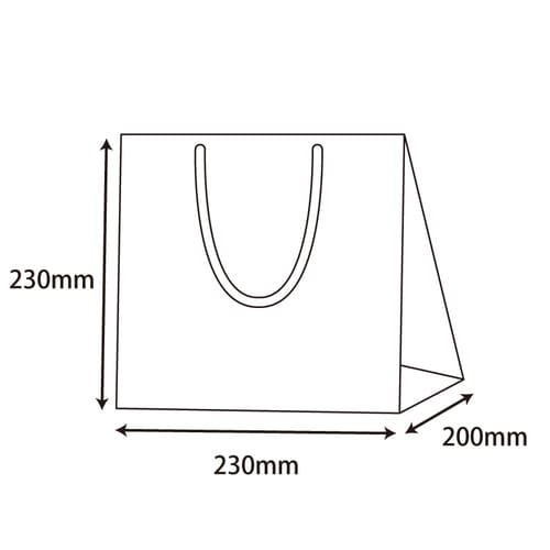 ブライトバッグC2チョコブラウン(MT)5セット