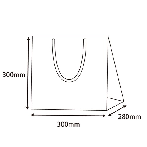 ブライトバッグC0チョコブラウン(MT)5セット