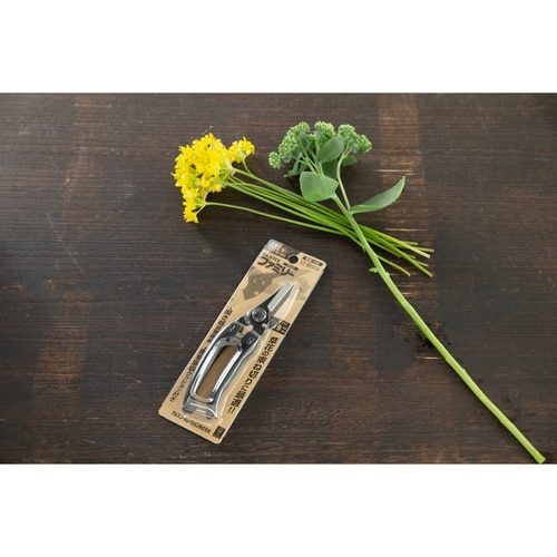 ファミリーブラック(黒)