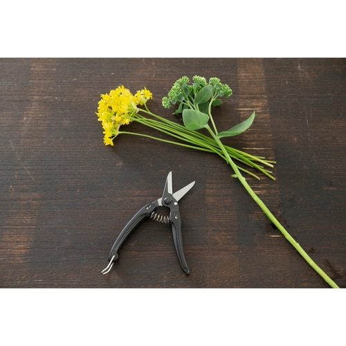 ファミリーブラック(黒)