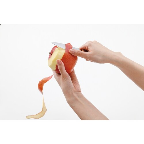 KK サヤ付きフルーツナイフ(木目調)