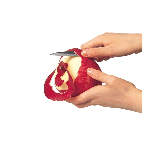 KK 木ザヤフルーツナイフ