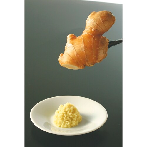 KK ステンレス ミニおろし