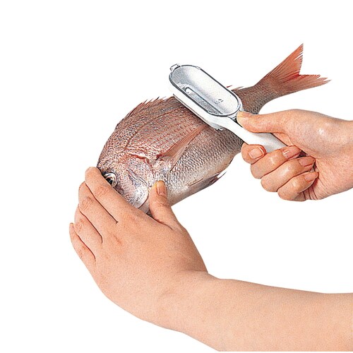 KK うろこ取り(ケース付き)